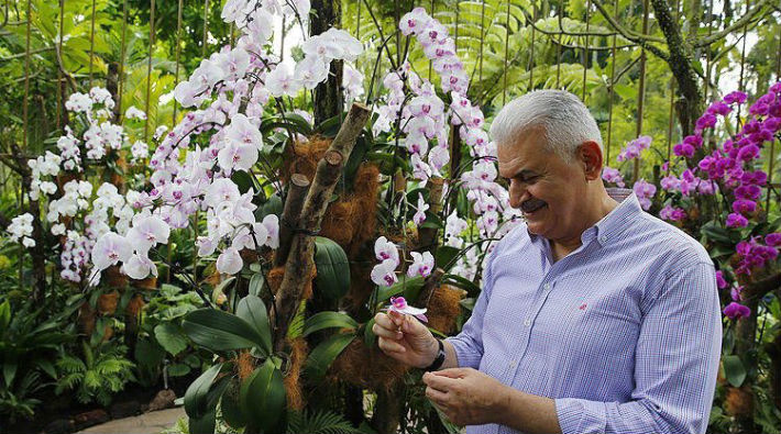 Başbakanın adı orkideye verildi: ‘Dendrobium Binali Yıldırım’