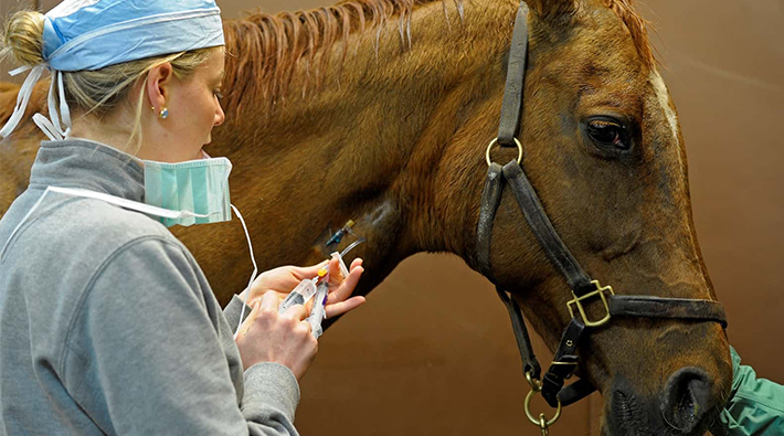 FDA uyardı: ‘İnek ya da at değilsiniz, kullanmayı bırakın’