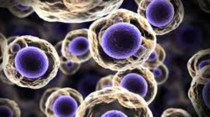 Bilim insanları kanser hücrelerini 'sonsuz uykuya' yatırıyor