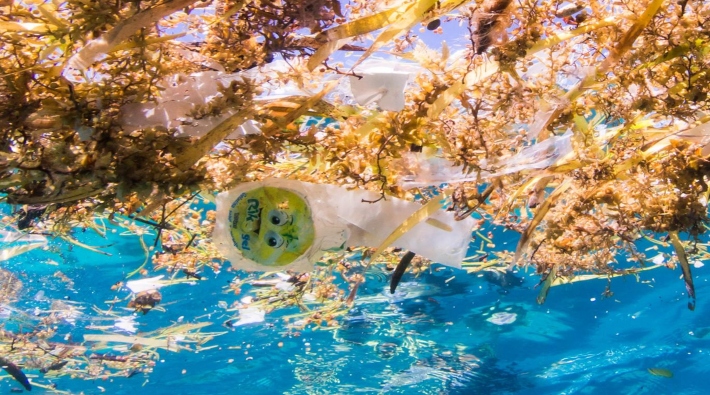 Bir kişi yılda ortalama 120 bin plastik parçacık yutuyor