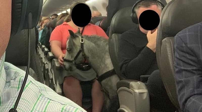 Bir yolcu uçağa atıyla bindi
