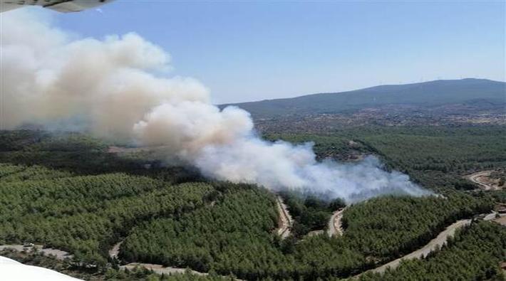 Bodrum'da orman yangını: Kısmen kontrol altına alındı