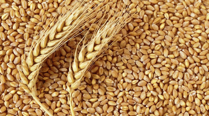 Sıfır vergide gelinen nokta: Sırbistan’dan buğday ve et ithal edilecek