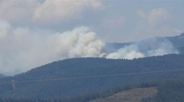 Bursa'da 6 farklı noktada orman yangını