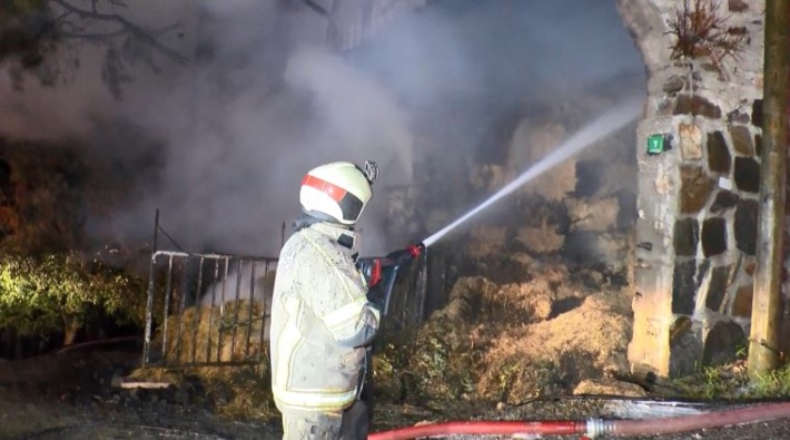 Bursa'da ormanın 6 farklı noktasında eş zamanlı yangın çıktı