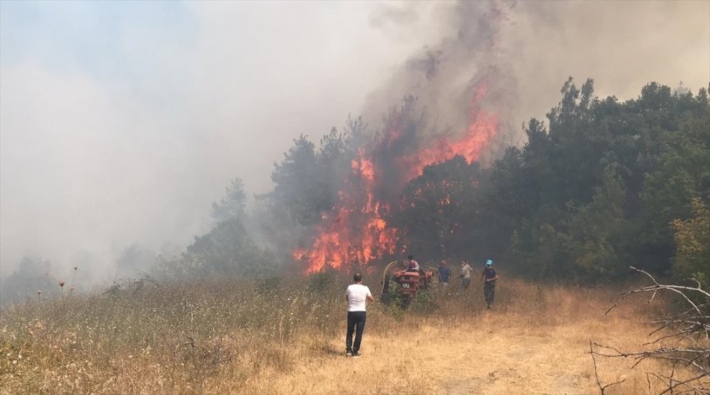 Bursa'da yerleşim bölgesi yakınlarında orman yangını