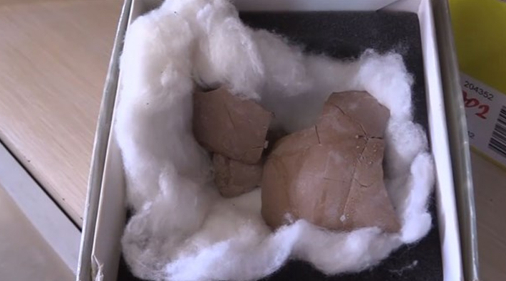 Çankırı'da 8,5 milyon yıllık deve kuşu yumurtası bulundu