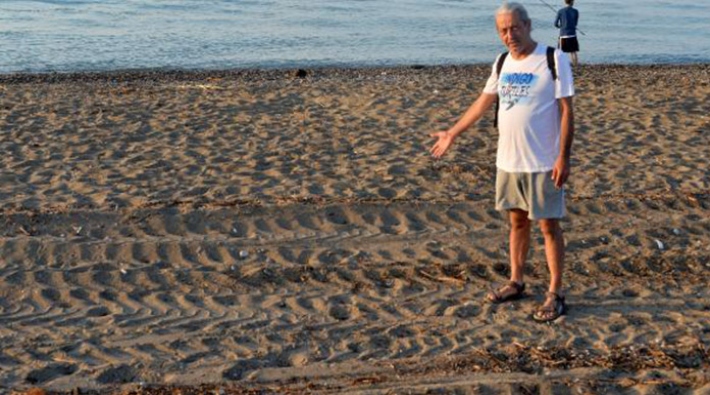 Antalya'da tarla gibi sürülen caretta caretta kumsalında 50 yuva yok oldu