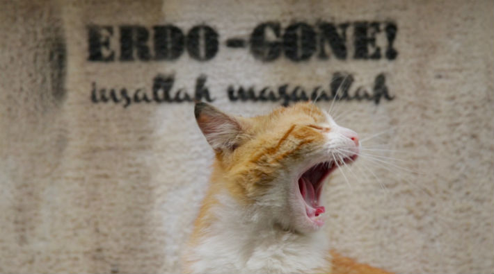 ‘Kedidir kedi’: Erdo-gone yazısı dergi kapattırdı