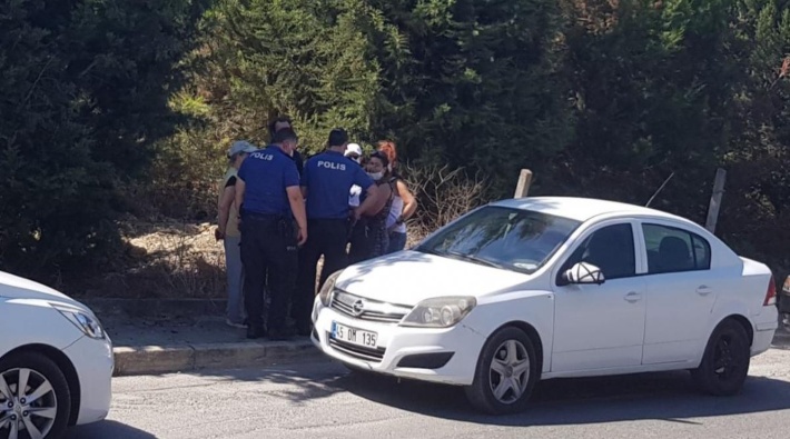 Çekmeköy'de 27 köpek ortadan kayboldu: 'Zehirleyip gömdüler' iddiası