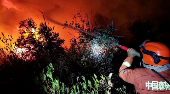 Çin'de orman yangını: En az 19 ölü