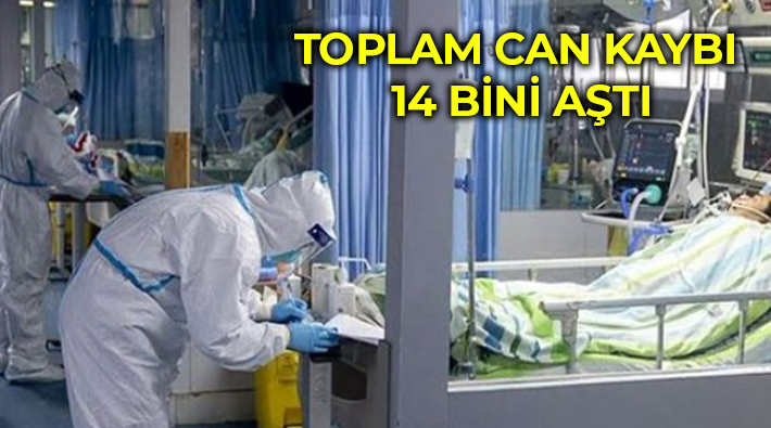 'Türkiye'de koronavirüs nedeniyle son 24 saatte 193 kişi yaşamını yitirdi'
