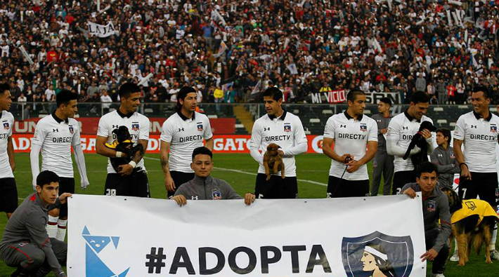 Şili’de futbolcular sahaya sahipsiz köpeklerle çıktı