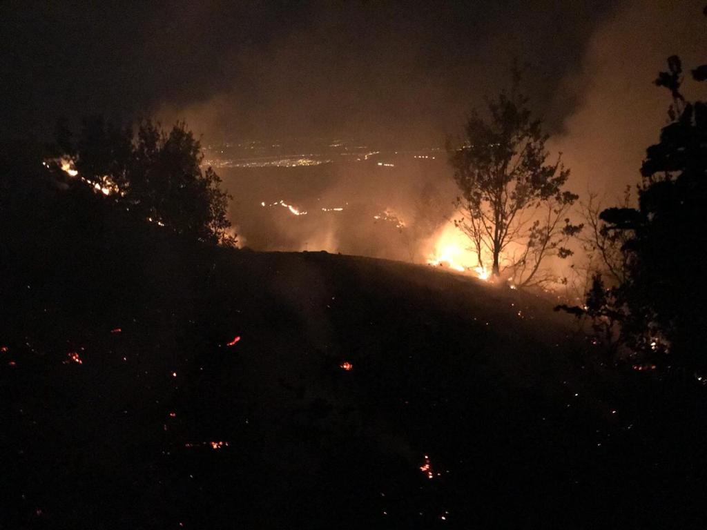 Cudi'de ormanlar yakılıyor