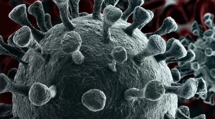 Resmi verilere göre son 24 saatte koronavirüs nedeniyle 186 kişi yaşamını yitirdi