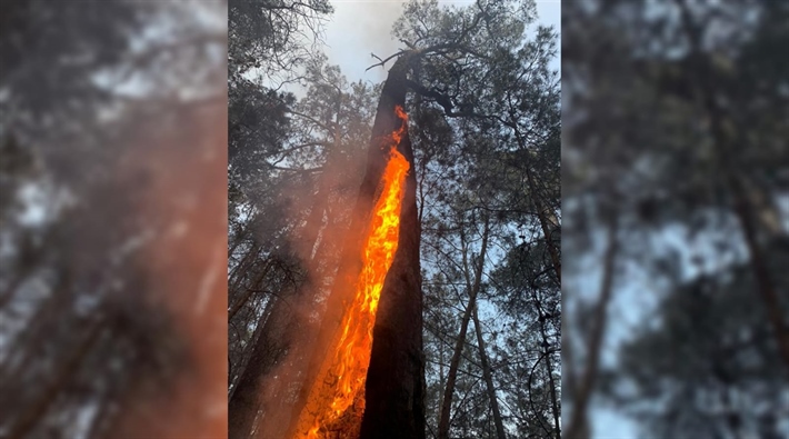 Demre'deki yangında 100 dönümlük ormanlık alan küle döndü