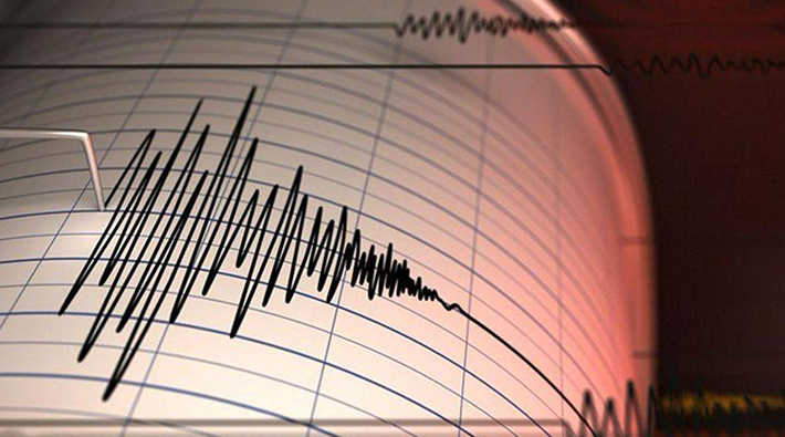 Muğla'da 4.6 büyüklüğünde deprem