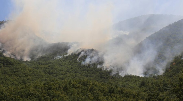 Dersim'de yangın kontrol altına alındı, Bitlis ve Bingöl'de müdahale sürüyor