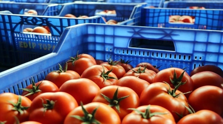 Bir iade daha: Rusya 51 ton domatesi geri çevirdi!