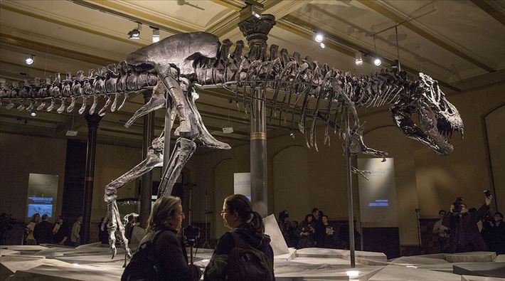 Kanada’da dünyanın en büyük ve en yaşlı T-rex fosili bulundu