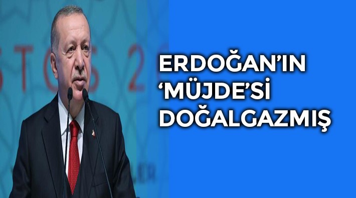 Erdoğan: Türkiye tarihinin en büyük doğalgaz keşfini yaptık