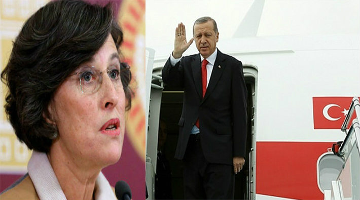 'Beğenmeyeni gönderelim' diyen Erdoğan'a: Tek kişilik biletle seni gönderelim