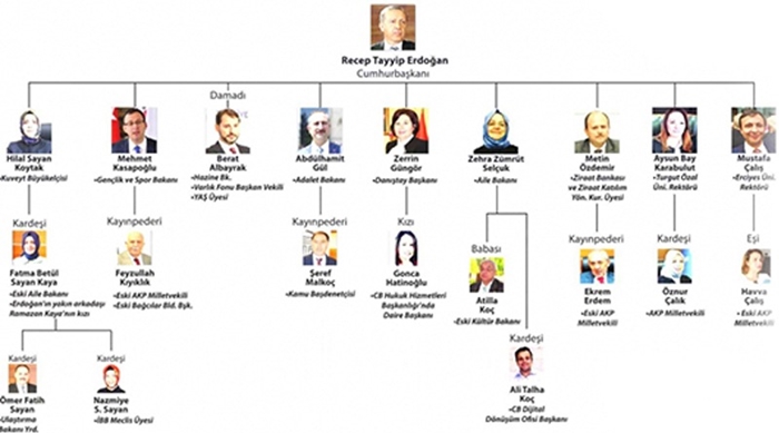 Erdoğan'ın 'aile şirketi': Asker arkadaşı parlamentoya, damadı bakanlığa