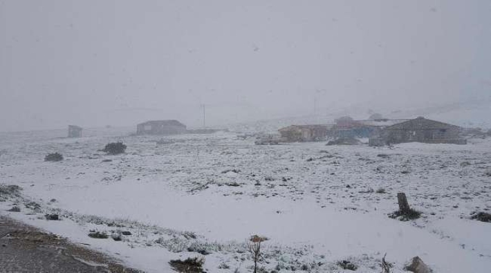 Erzincan'daki kar fırtınasında bir çoban yaşamını yitirdi