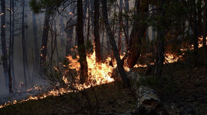 Eskişehir'deki orman yangını devam ediyor