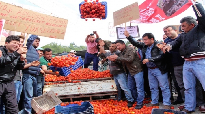 Eylül ayında tarım sektörünün kredi borcu 105 milyara ulaştı