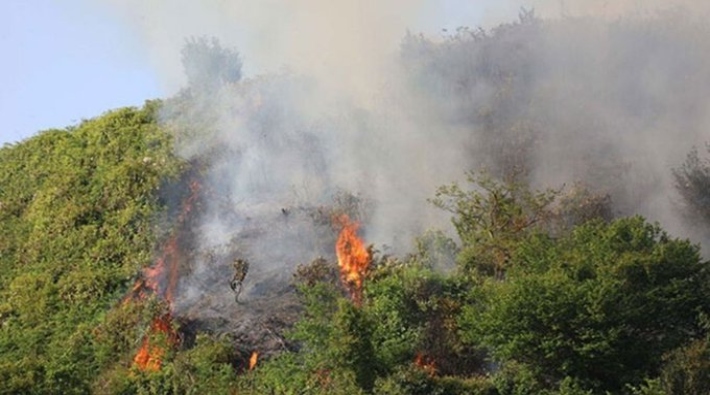 Rize'de orman yangını: Müdahale edilemiyor