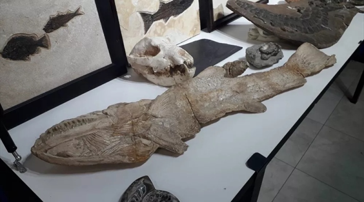  Adnan Oktar’ın evinde 150 milyon yıllık fosil bulundu