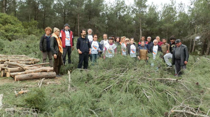 Foça'da halk ağaç katliamını durdurdu