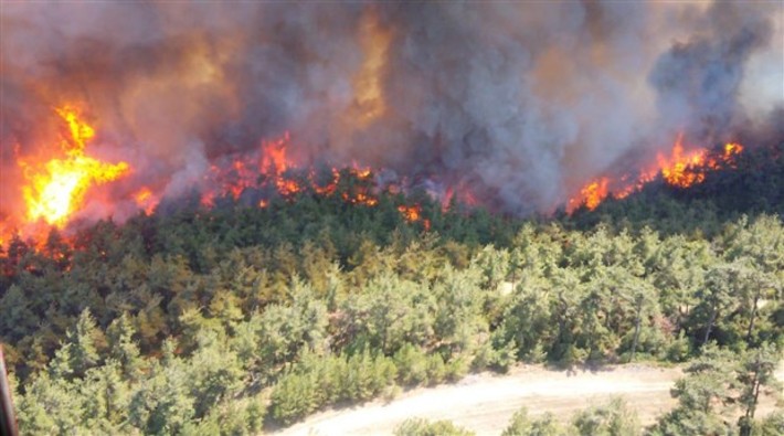 Gelibolu'da büyük orman yangını: Saatlerdir söndürülemiyor, 300 hektarlık alan kül oldu!
