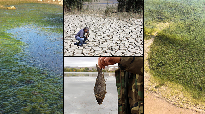 Göller kuruyor, toplu balık ölümleri yaşanıyor: Temel neden ‘kirlilik’