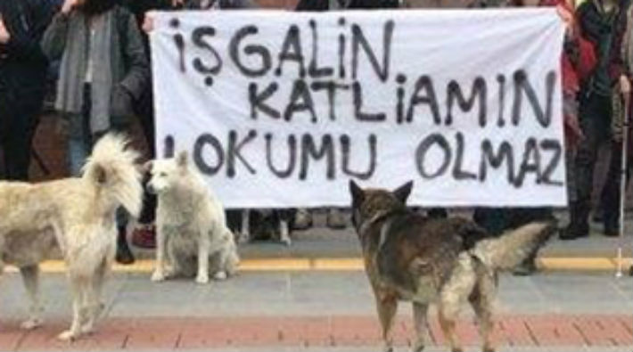 Gözaltındaki BOÜ öğrencileri: Kitap okuyamıyoruz, zamanımız boşa geçiyor