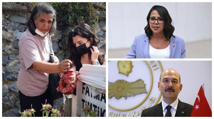 TİP'li Sera Kadıgil'den İçişleri Bakanı Soylu'ya: O polis hakkında soruşturma başlatıldı mı?