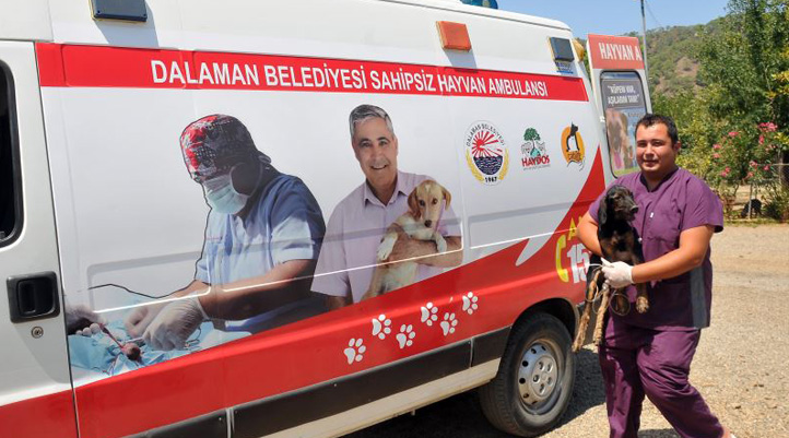 Muğla'da sokak hayvanları için ambulans hizmeti verilmeye başlandı