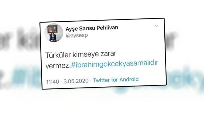 Hakim Ayşe Sarısu Pehlivan hakkında 'İbrahim Gökçek' incelemesi