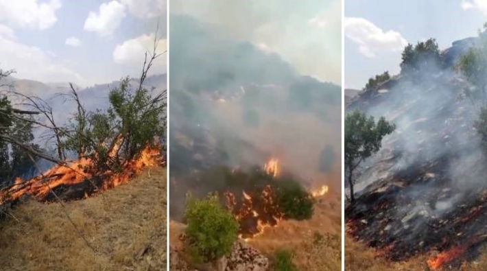Hakkari'deki orman yangını 3 gündür kontrol altına alınamadı