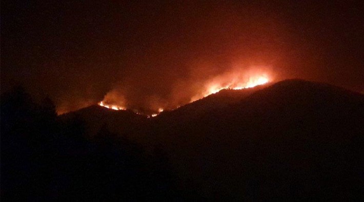 HDP'den Hatay'daki yangınlara ilişkin açıklama