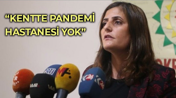 HDP'li Taşdemir: Ağrı'da test sonuçları bir hafta, 10 günde çıkıyor