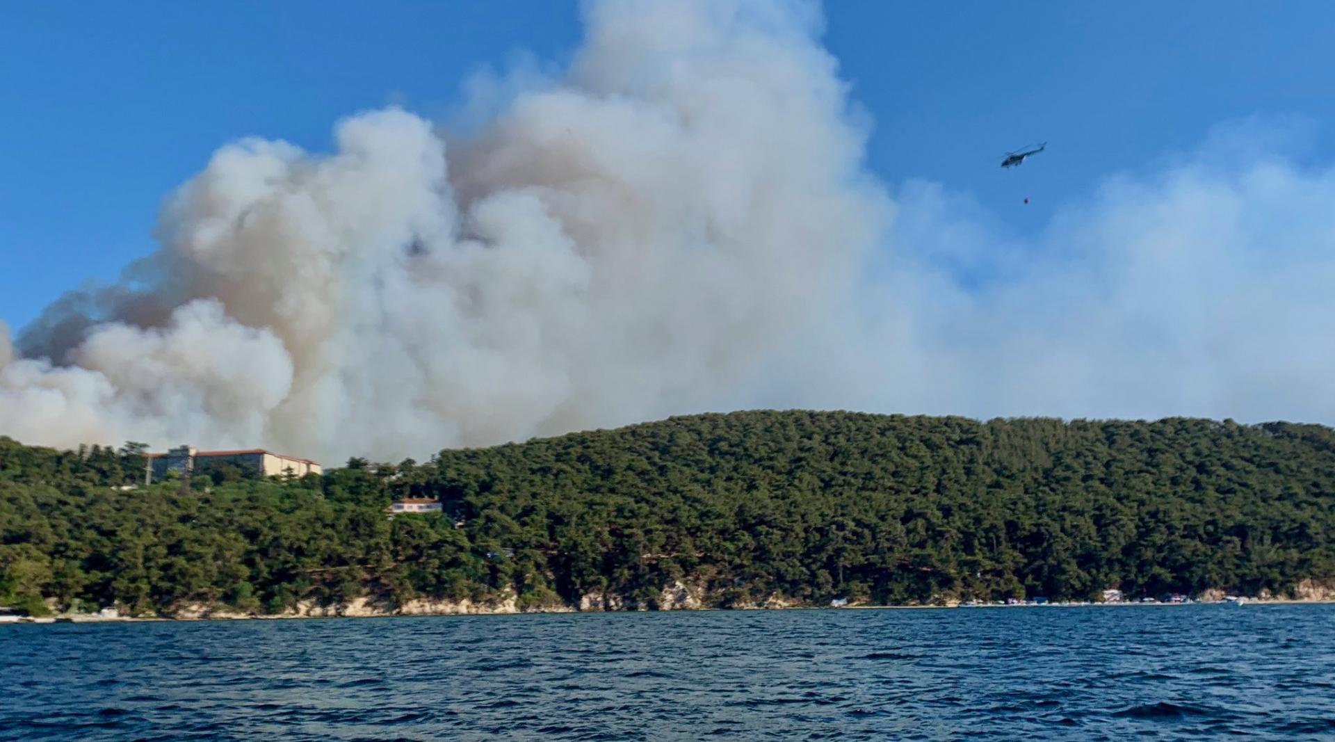 Heybeliada'da orman yangını: 2 kişi serbest bırakıldı