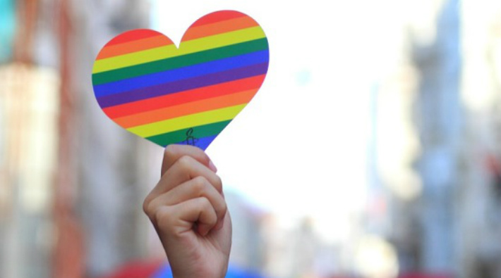 Hollanda: Eşcinsellik konusunda öğrencilerini bilgilendirmeyen okullar cezalandırılsın