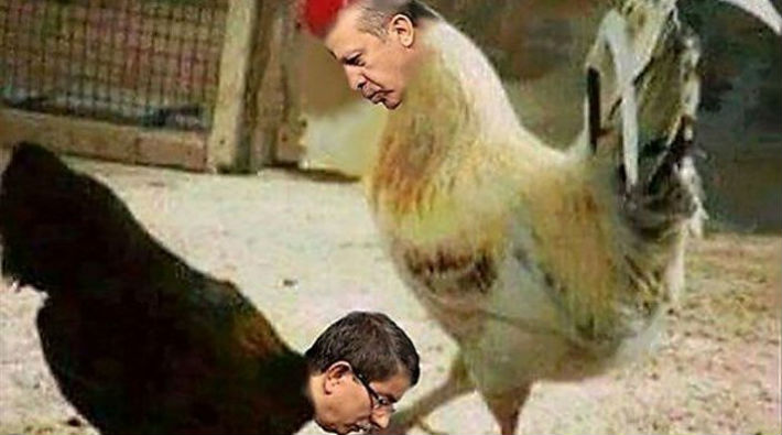 ‘Erdoğan’a hakaret’ davasında mahkeme kararı: Horoz tavuktan üstündür, o halde hakaret yoktur