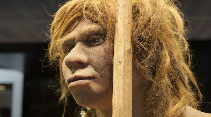 HPV, modern insana Neandertal ve Denisovalılarla melezlenmesinden geliyor