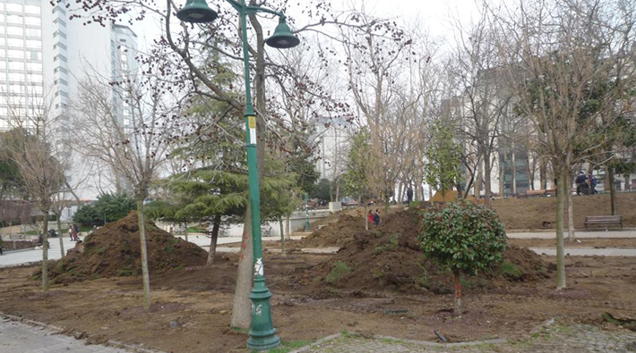 İBB’nin 'düzenlemesi' sonrası Gezi Parkı raporu yayımlandı: 'Yeşil alan çalışması mı cinayet mi?'