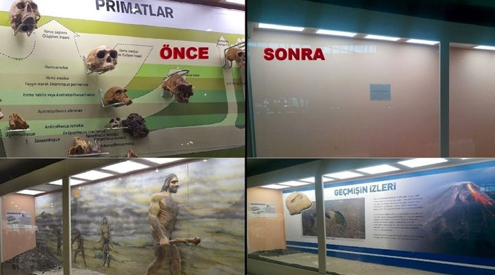 MTA'nın kaldırdığı evrim vitrininin yerine geri koyulması için imza kampanyası