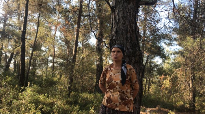 İkizköylüler, Akbelen Ormanı'ndaki kesime karşı nöbete başladı