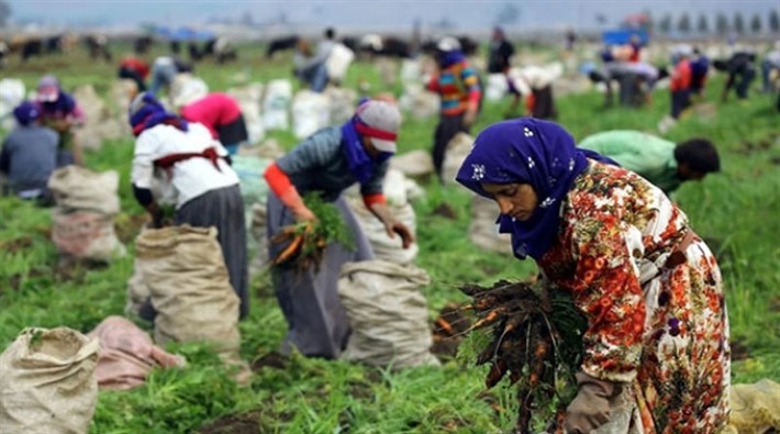 Mevsimlik işçiler insani koşullar altında çalışmak istiyor 